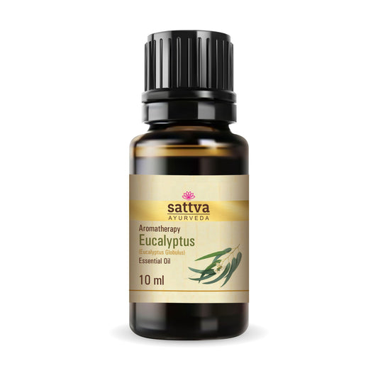 Ätherisches Öl Eukalyptus 10ml