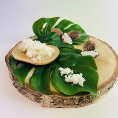 Bio-Sheabutter 100ml